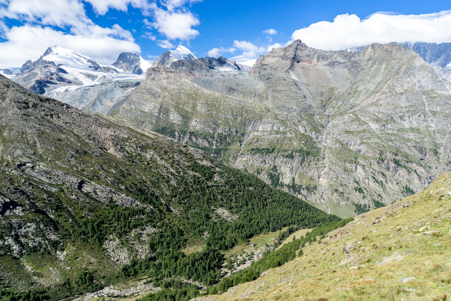 Sicht vom Furggtälli zu den Gipfeln um Saas-Fee: Strahlhorn, Rimpfischhorn, Allalinhorn, Egginer, Mittaghorn (von links). Bild: Fredy Joss