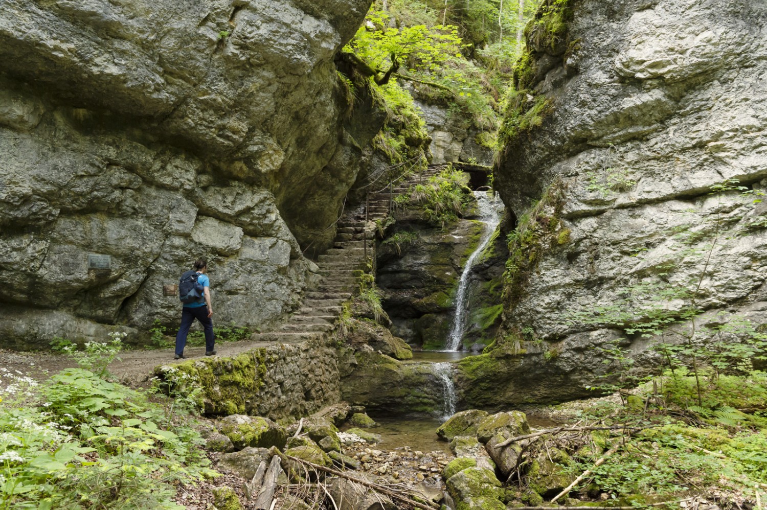 On s’attendrait presque à voir surgir une fée dans les gorges de la Pouetta Raisse. Photo: Raja Läubli