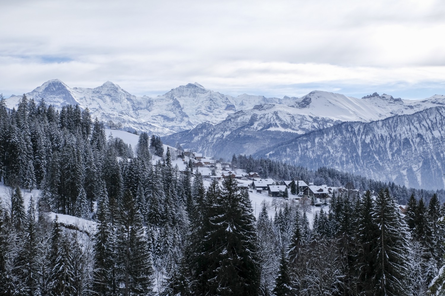 Die Häuser von Waldegg, dem Ziel der Wanderung. Bild: Elsbeth Flüeler