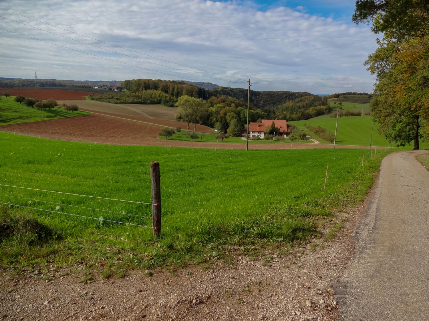 Kurz vor Wölflinswil, beim Waldausgang, ist die Landschaft leicht hügelig. Bild: Miroslaw Halaba 