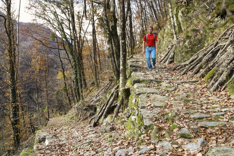 Der Abstieg von Loco in die «Höllenschlucht des Isorno». Bilder: Markus Ruff