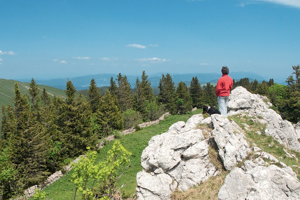 Blick vom Chasseral. Bild: Heinz Staffelbach.