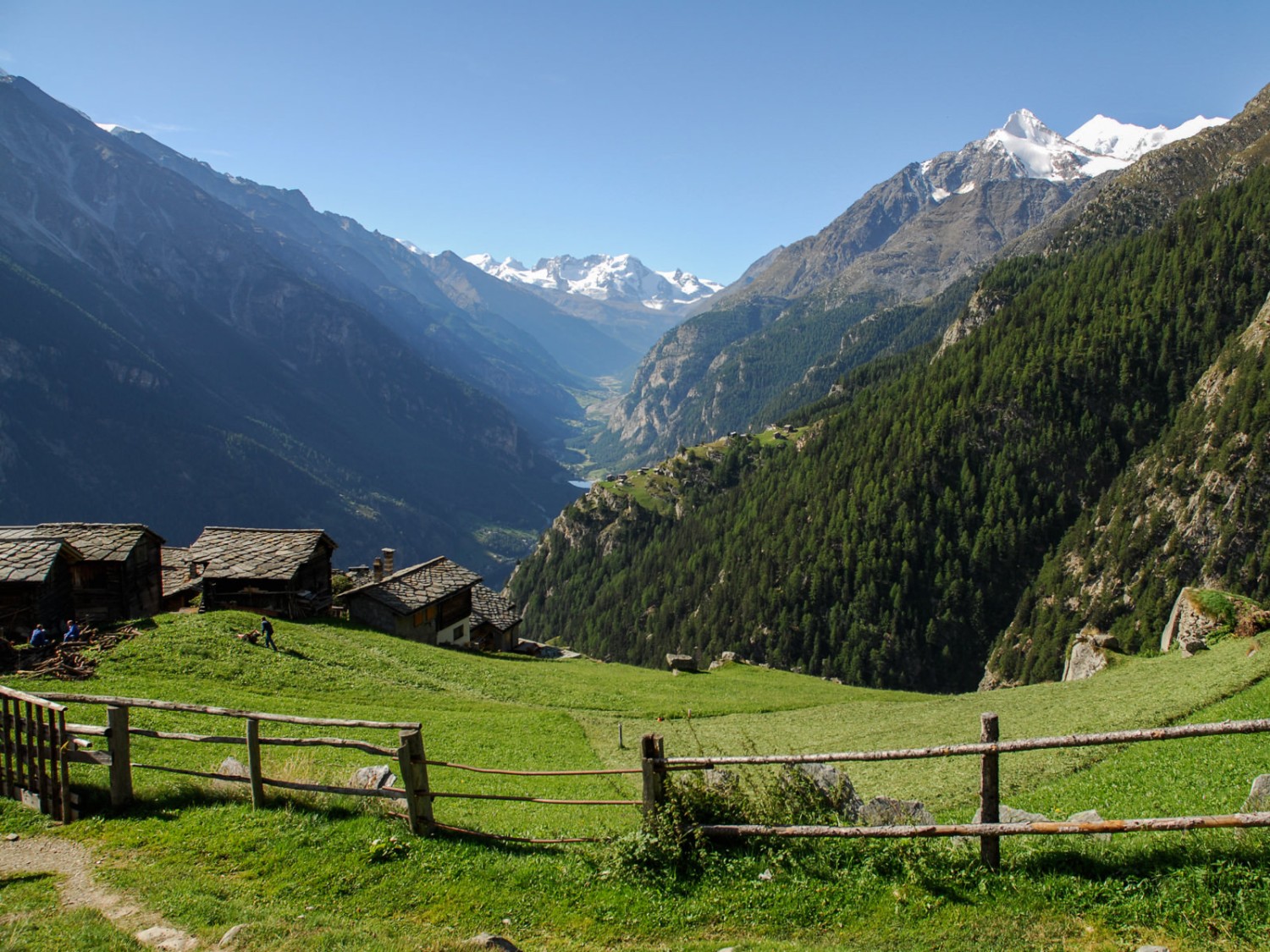 Magnifique vue depuis l’alpage de Jungen en direction de Zermatt. En haut à droite se dressent le Brunegghorn et le Weisshorn.