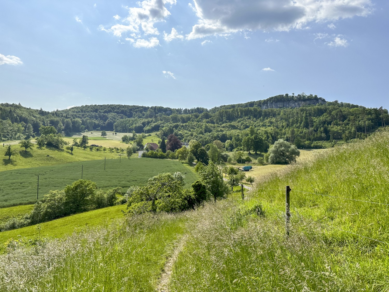 Il bel sentiero tra i prati poco dopo l’hotel Bad Schauenburg. Foto: Thomas Gloor