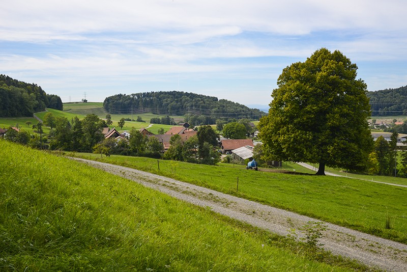 Doux paysage de randonnée près de Hofstetten, au-dessus d’Elgg. Photos: Heinz Staffelbach