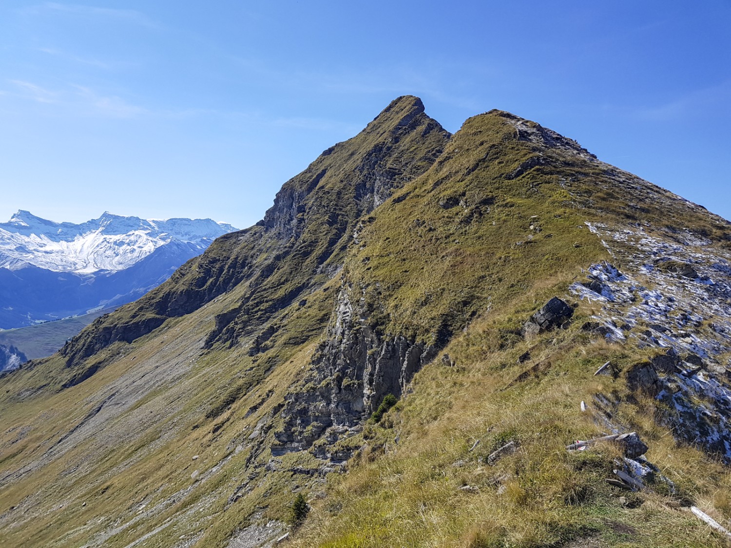 Auf dem Otterepass; hier muss man sich entscheiden, ob man noch zum Gipfel der Männliflue weiter aufsteigen will. Bild: Patricia Michaud