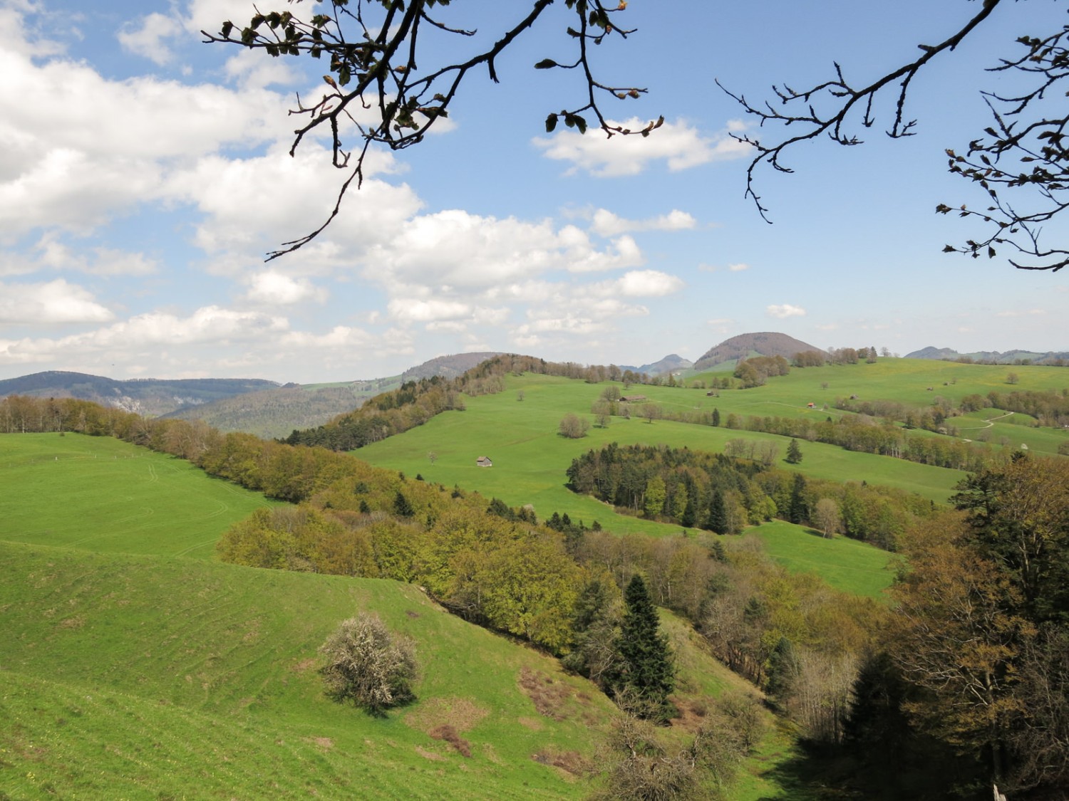 Nicht nur auf dem Güggel gibt es viel zu «guggen»: Die Aussicht von den Höngertüelen aus ist anmutig. Bilder: Marina Bolzli