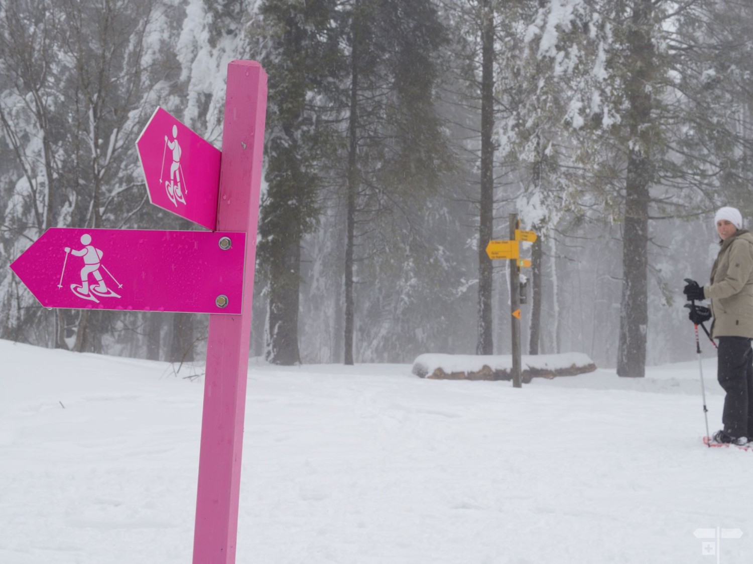 Gut ausgeschilderter Winterwanderweg, sogar in dichtem Nebel nicht zu verfehlen.