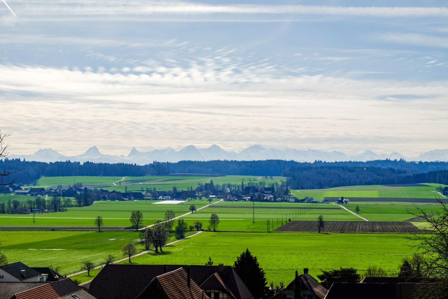 Vue magnifique sur la vallée plate de la Limpach et les Alpes en arrière-plan