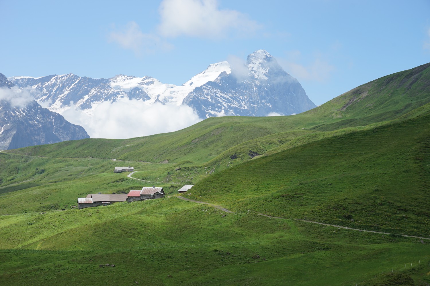 L’alpage Scheidegg Oberläger et l’impressionnant Eiger à l’arrière-plan. Photo: Reto Wissmann