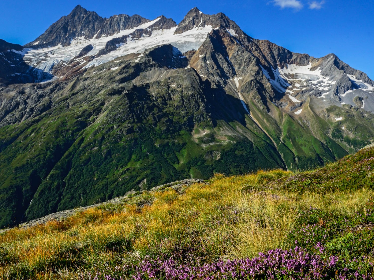 Pendant cinq mois, le Meiental attire les randonneurs. Puis vient l’heure d’un isolement beau et austère. 
Photo: natur-welten.ch