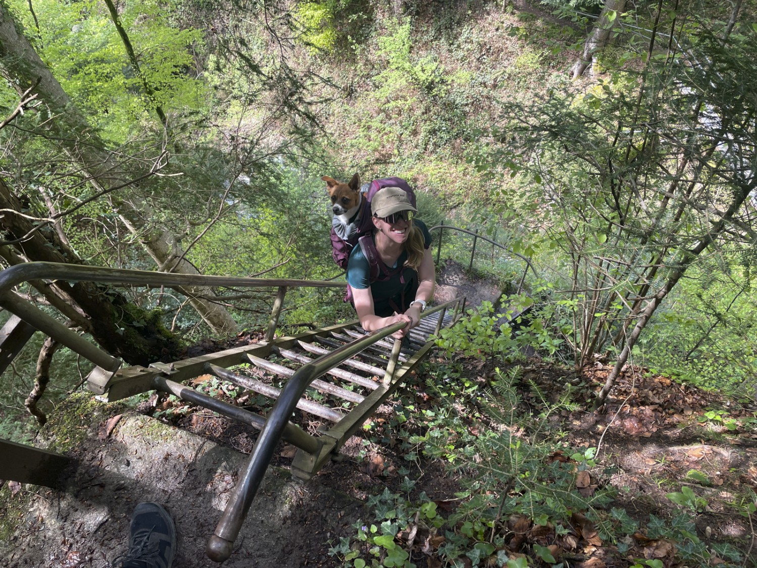 Au début de la randonnée, il faut descendre une échelle. Photo: Rémy Kappeler