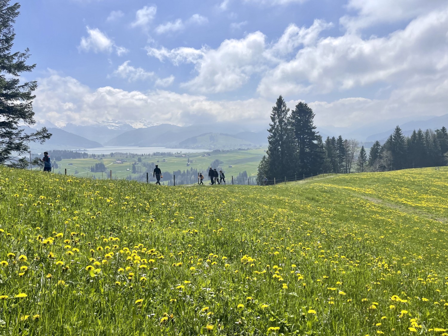 Im Aufstieg vom Restaurant im Büel aus mit Blick auf den Sihlsee. Bild: Michael Roschi