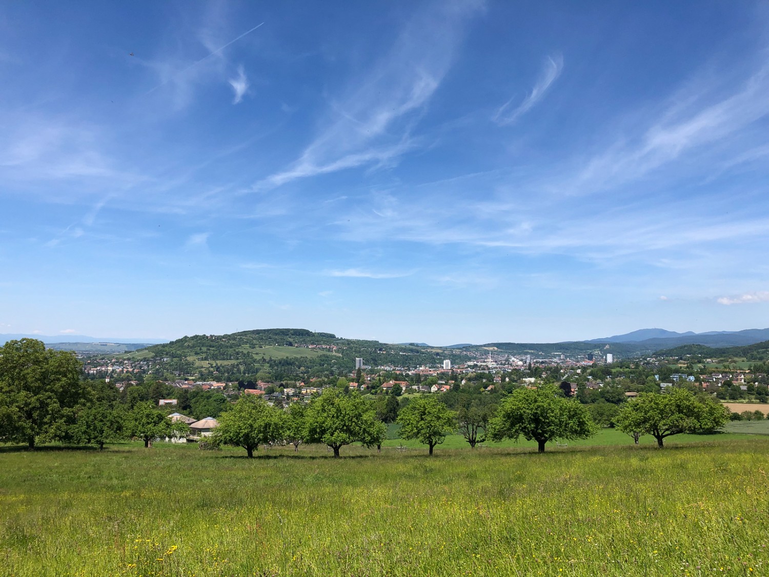 Blick auf den Tüllingerhügel in Deutschland. Bild: Thomas Gloor