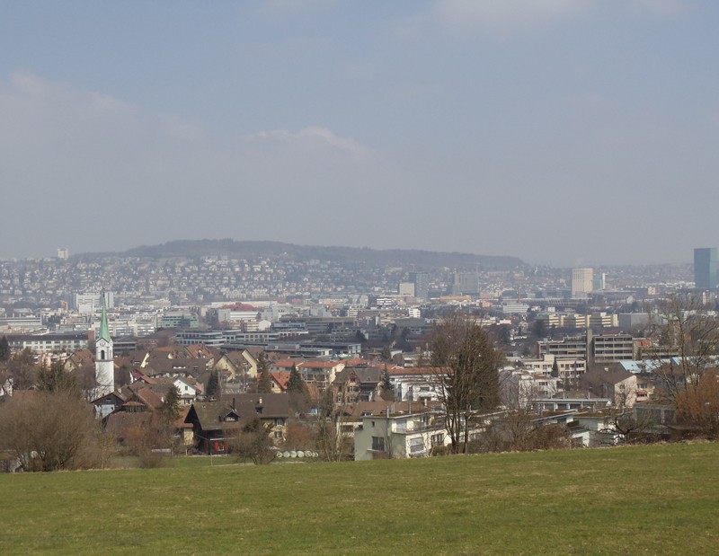 Vue du bord de la forêt Albisrieden.