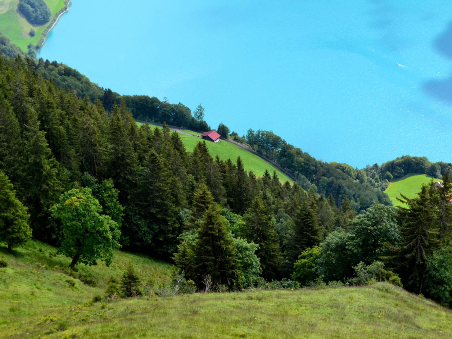 Vue plongeante sur le lac de Lungern depuis le Sädel. Photo: Sabine Joss
