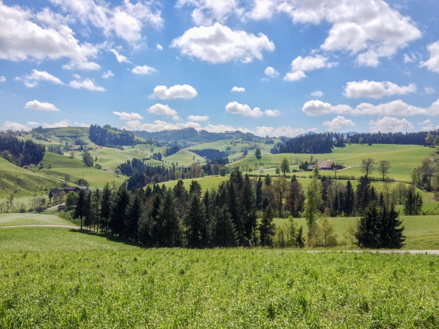 Un charmant paysage vallonné. Photo: Claudia Peter