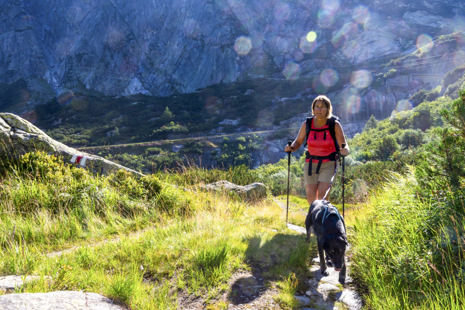 Le chemin de randonnée est bien intégré dans le paysage. En arrière-plan, la route du col du Grimsel. Photo: Franz Ulrich