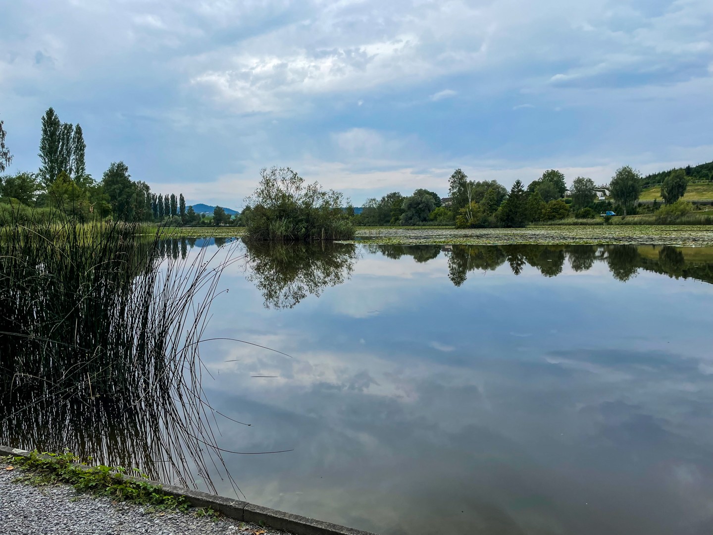 Der Bettenauer Weiher war ursprünglich ein Moorweiher. Bis 1945 wurde hier Torf gestochen. Bild: Rémy Kappeler