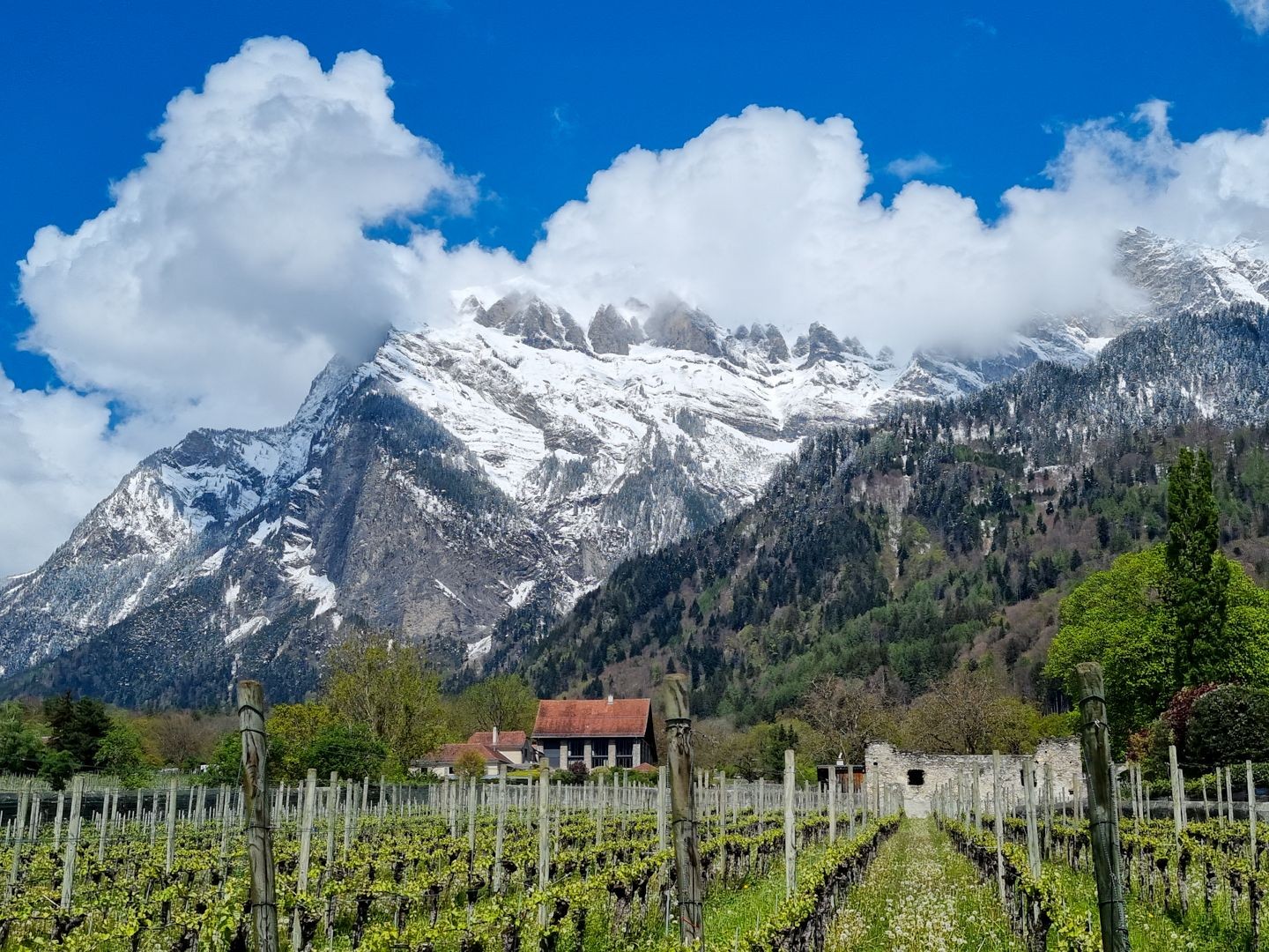 Die Wanderung durch die Weinbauregion führt immer wieder durch kleinere Ortschaften.