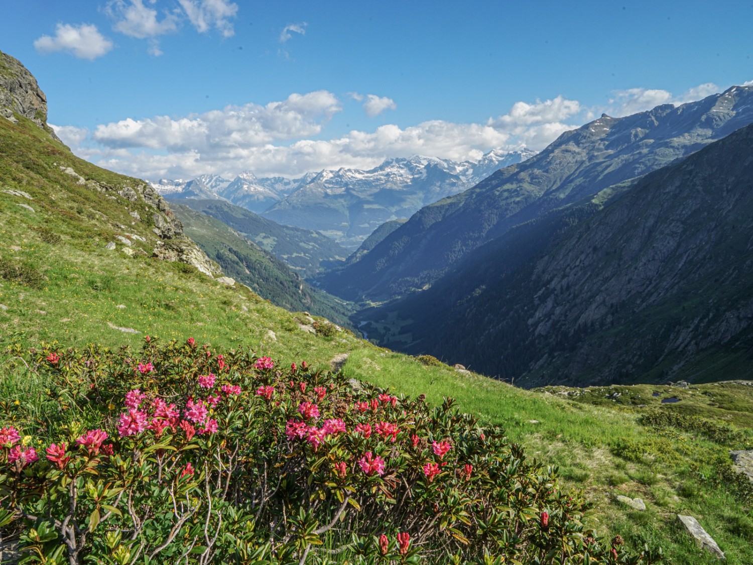 Plus bas, le Val Sumvitg est toujours plus verdoyant et accueillant. Photo: Reto Wissmann