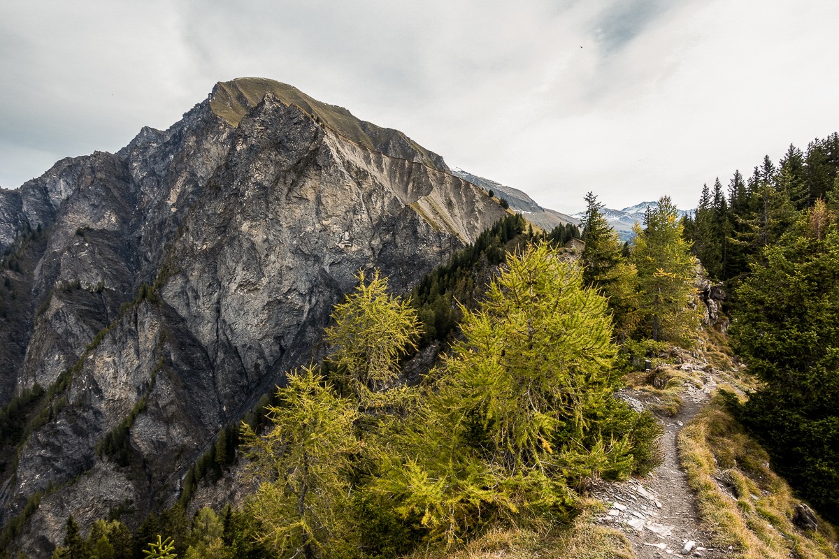 Blick vom Fürhörnli zum Montalin. Bild: Fredy Joss