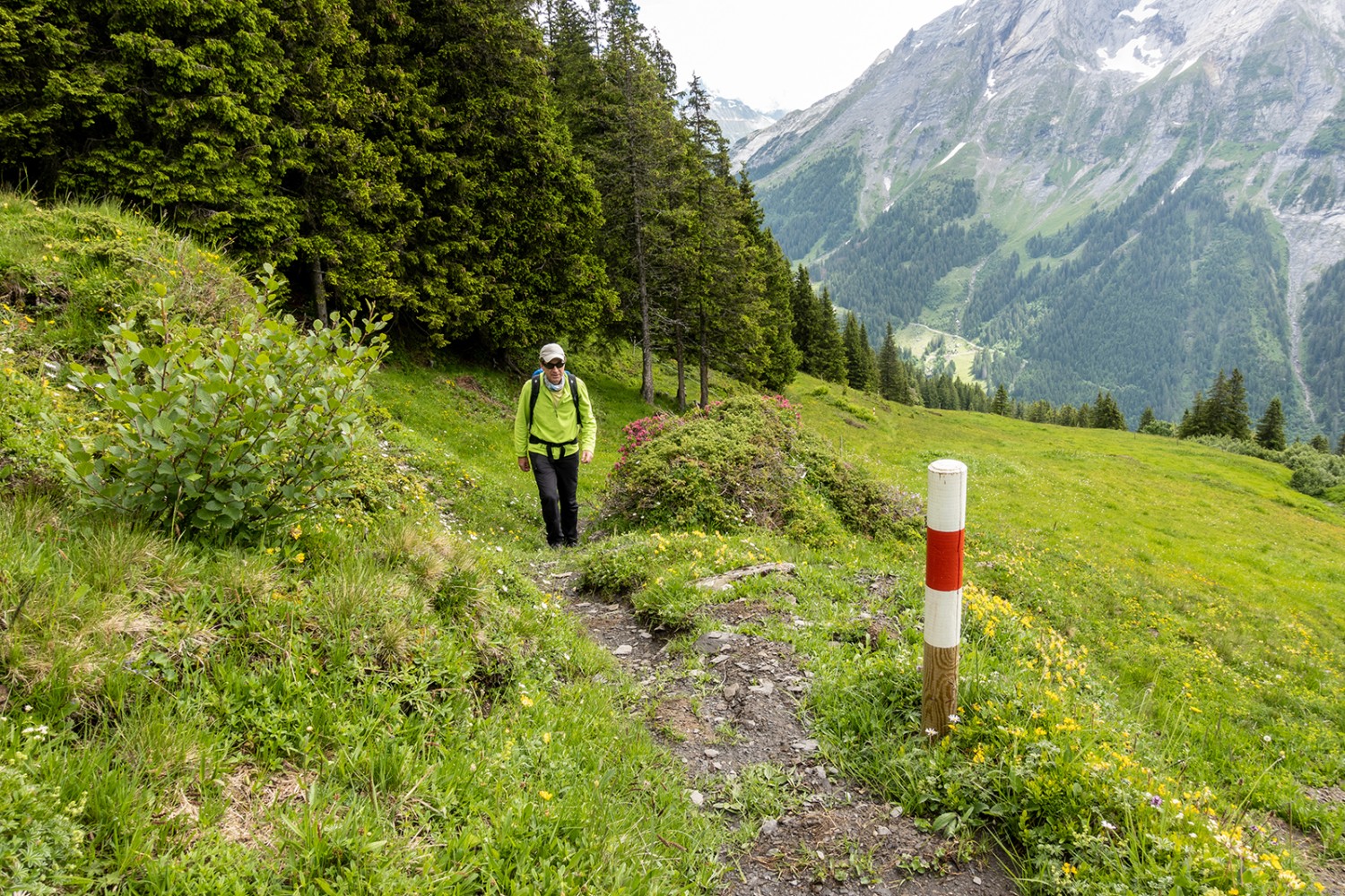 Das erneuerte historische Wegtrassee zwischen Bim Grindelschärm und Chrüteren.