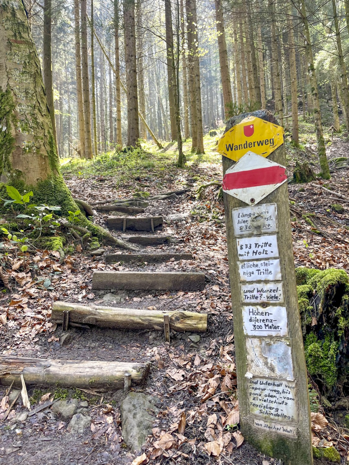 Les mollets s’en souviendront! Le début des 600 marches du Strickliweg. 