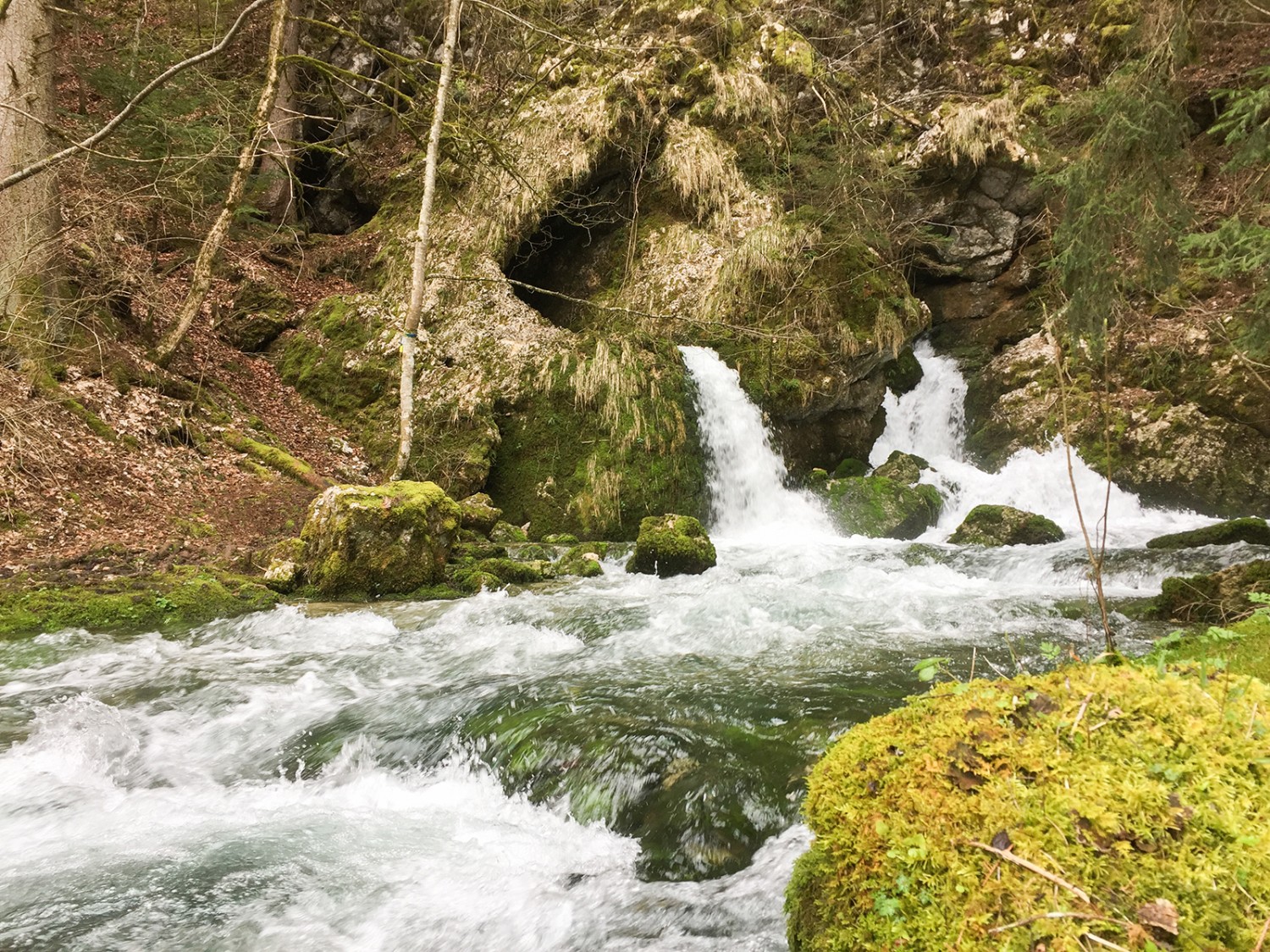 Non loin de la grande cascade, l’eau sort de la roche.