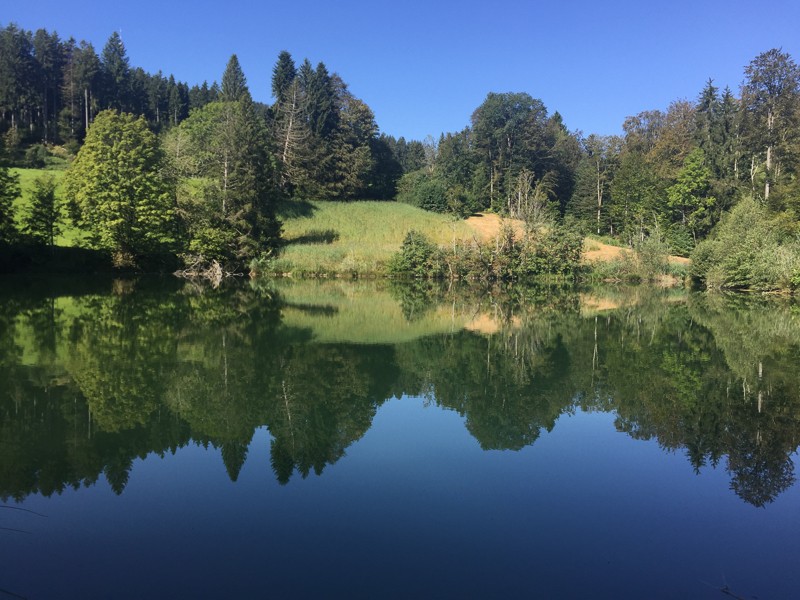 Mystérieux miroitement du Bachtelweiher. Photo: Vera In-Albon