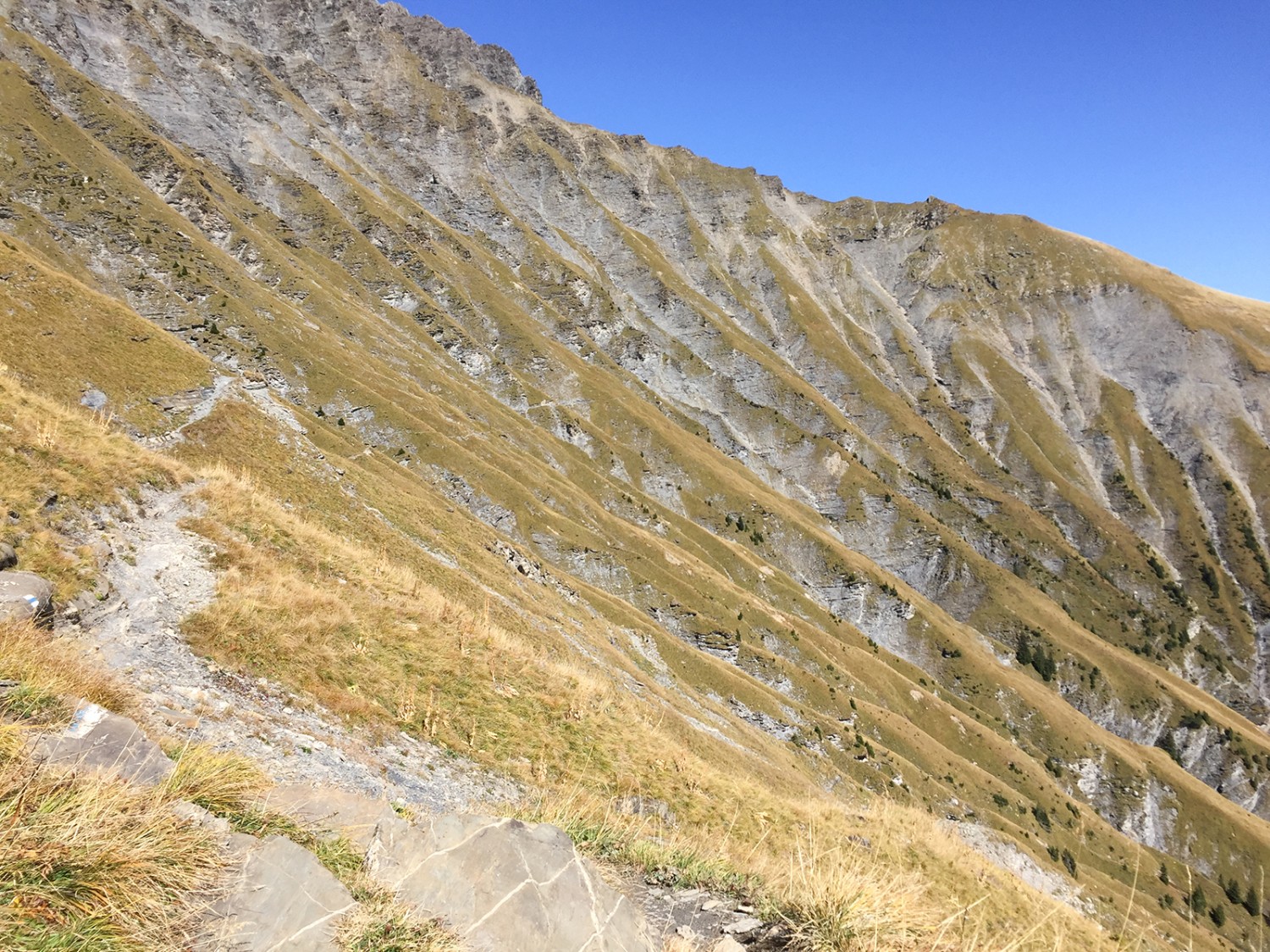 Der Blick zurück: Wir haben es geschafft!