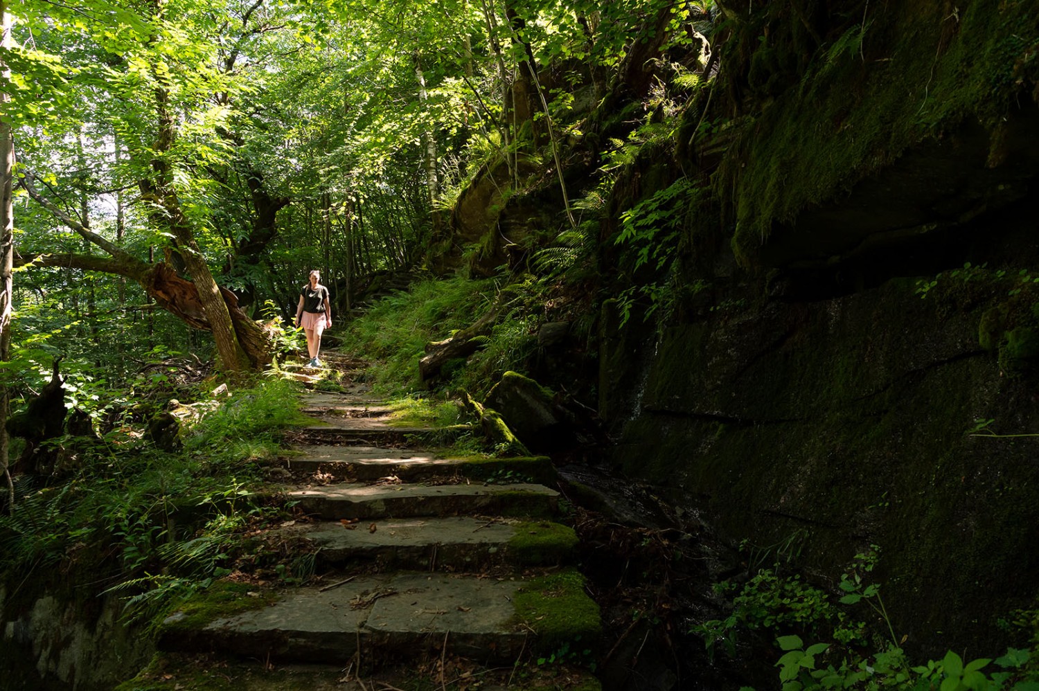 Scalinata in mezzo al bosco vicino a Faido. Foto: Raja Läubli