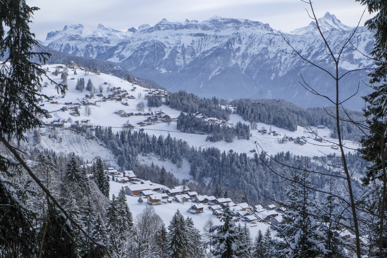 Sicht auf den Dorfteil Spirenwald und den darüberliegenden Dorfteil Waldegg. Bild: Elsbeth Flüeler