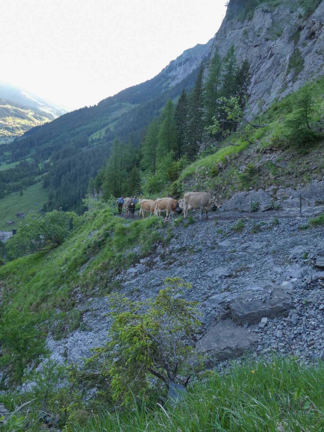 Weit vorne im Frutigtal scheint bereits die Sonne.