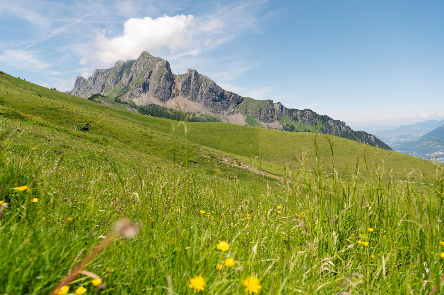 Aussicht von den Rieterhütten auf die Gauschla. Bild: Raja Läubli