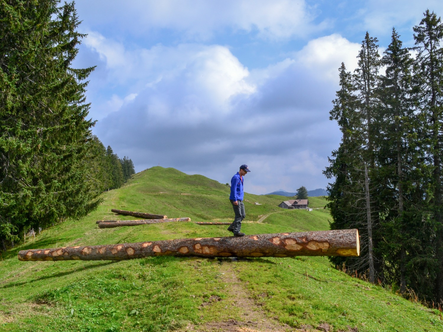 Bei der Näbikenalp. Foto: Sabine Joss