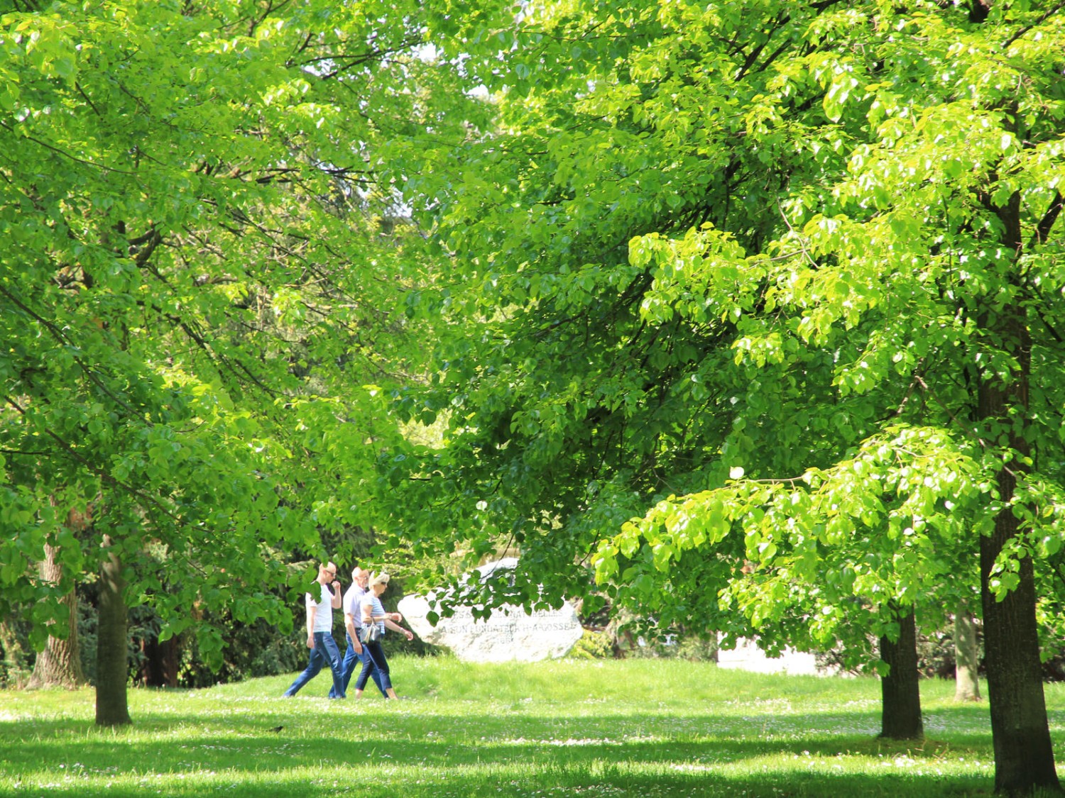 Flanieren in der Stadt der Botanik. Bild: Elsbeth Flüeler