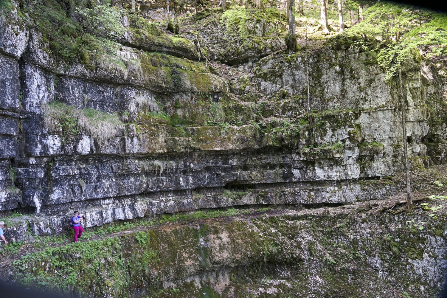 Un cirque rocheux impressionnant: la Combe Grède. Photo: Reto Wissmann