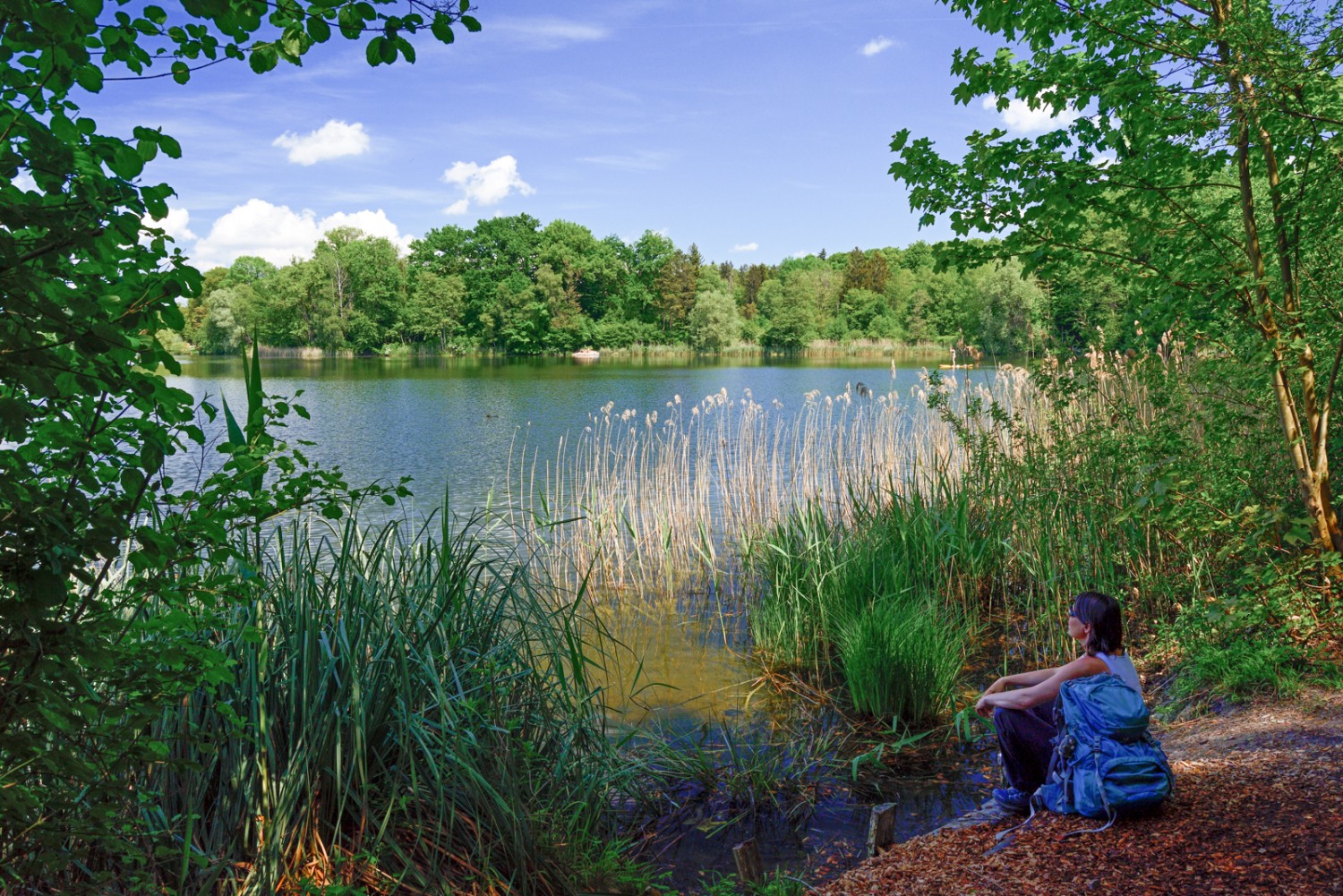 Am Burgäschisee lässt sich gut rasten. Bild: natur-welten.ch