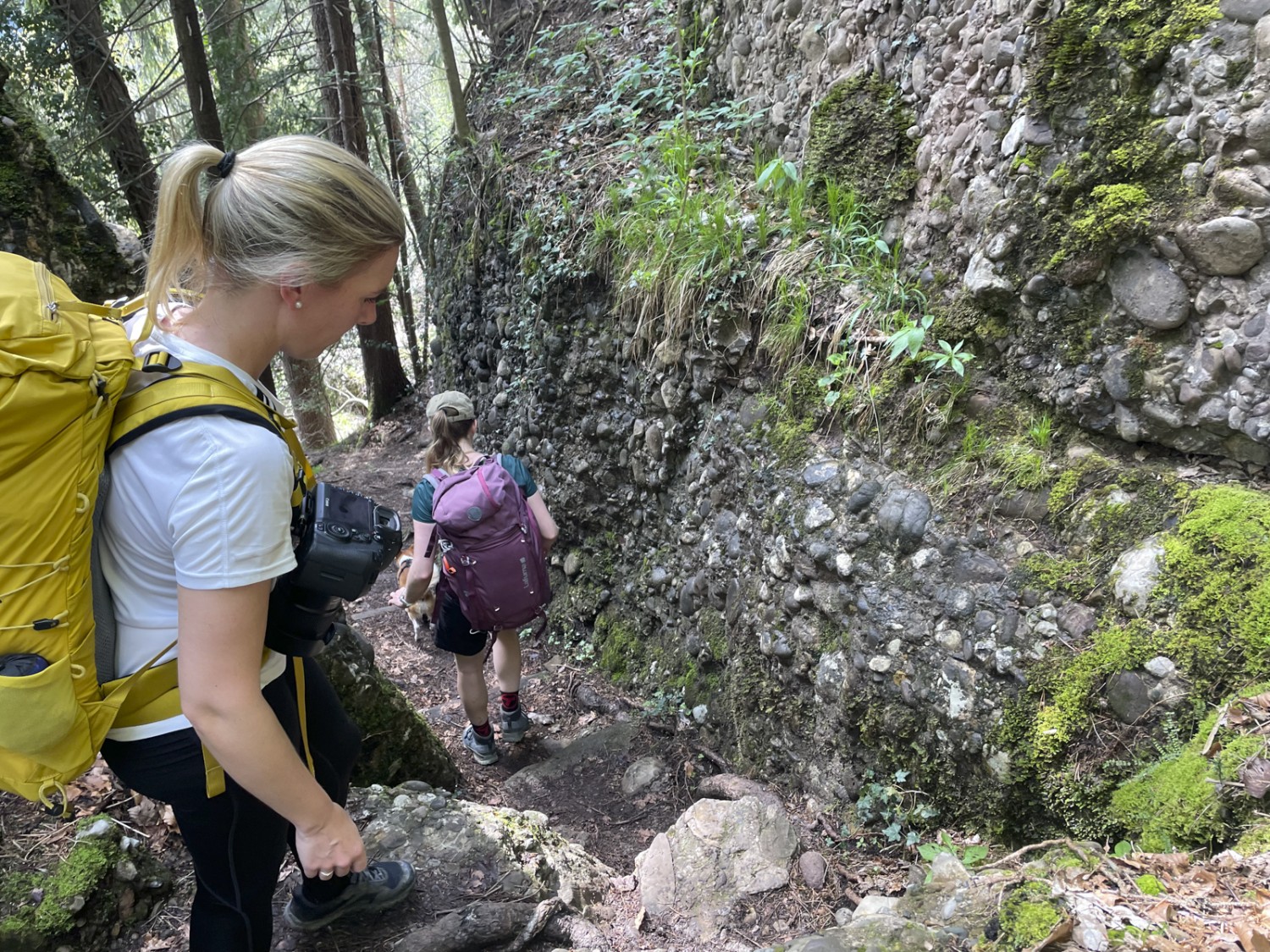 Parois de nagelfluh et passages délicats dans la forêt, le Lützelauerwald.
Photo: Rémy Kappeler