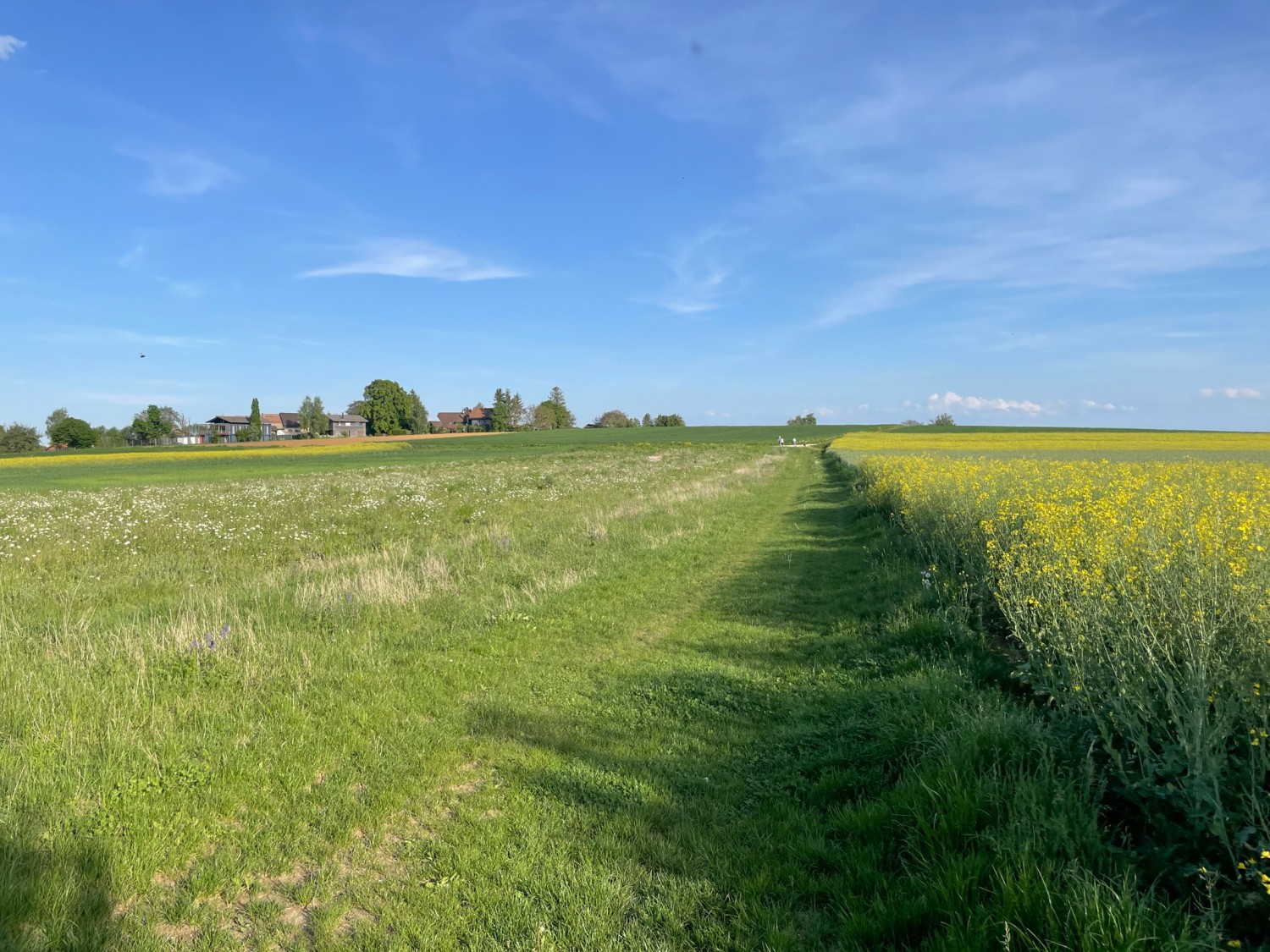 Il sentiero escursionistico è anche un sentiero campestre. Foto: Vera In-Albon