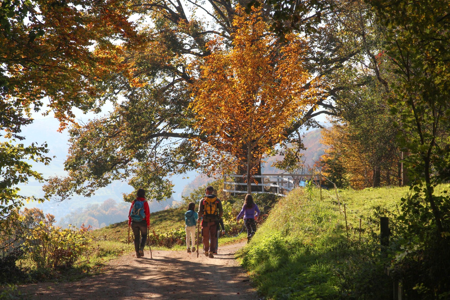 De la forêt, vue sur la vaste étendue de la campagne bâloise. Photo: Ulrike Marx