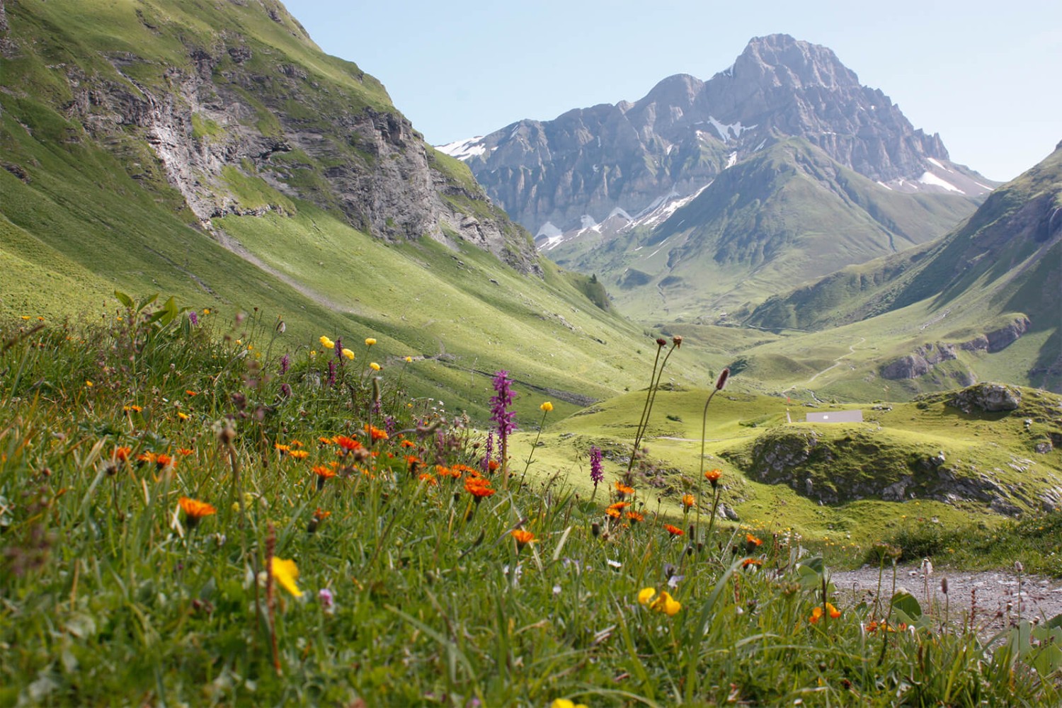 Cette vue se présente en direction de Surenen. Photo : Anne-Sophie Scholl