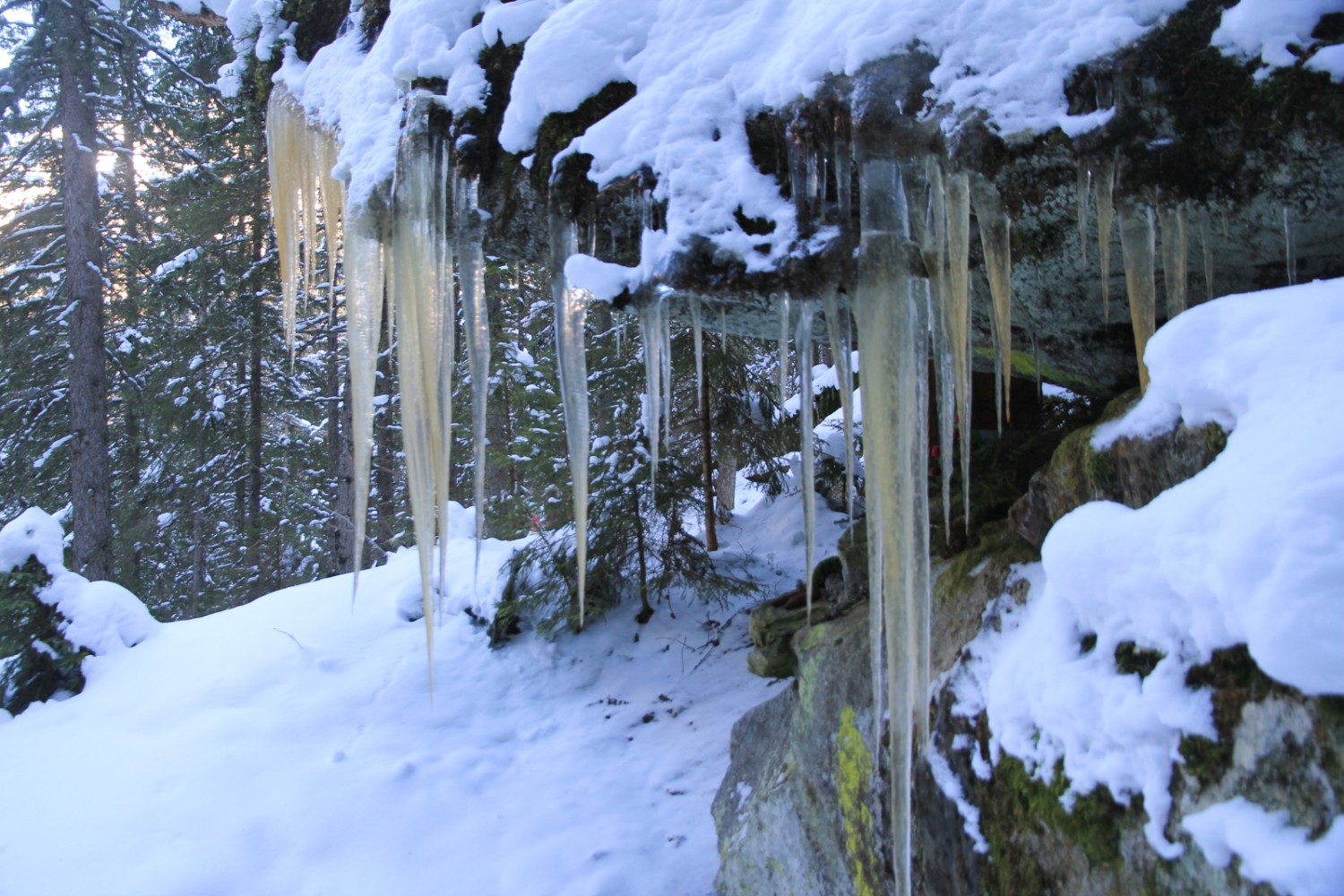 Die Eiszapfenwelt: wie das Gebiss eines Wals. Bild: Elsbeth Flüeler