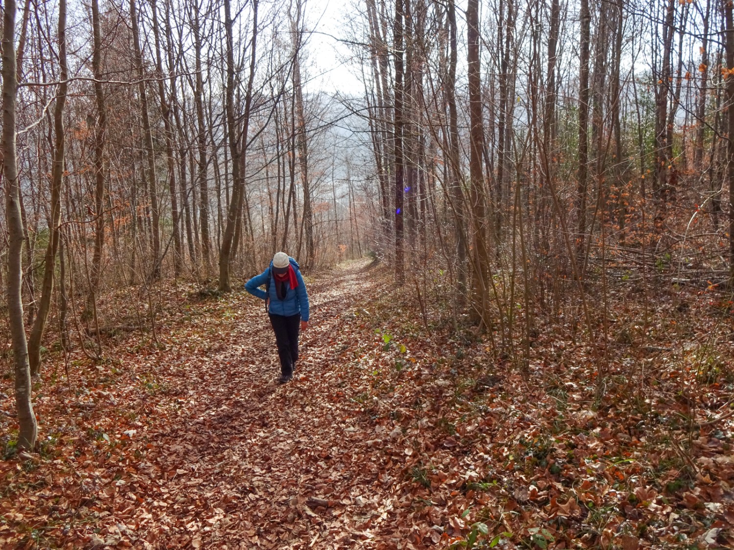 Direkt hinter dem Hotel steigt der Weg erneut an. Bild: Miroslaw Halaba