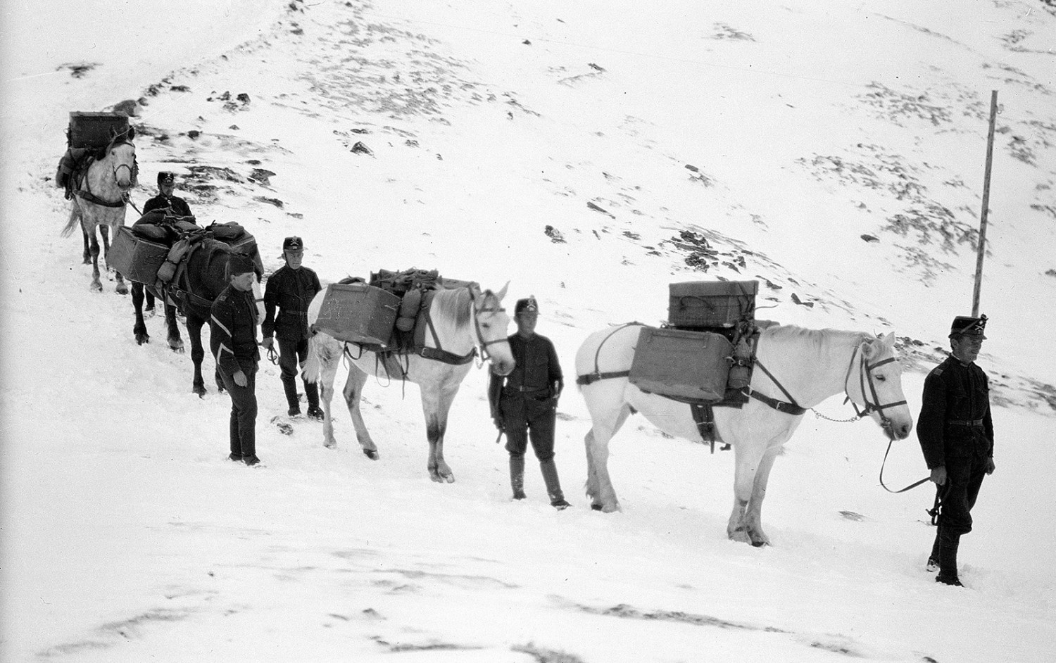 Schweizer Saumkolonne im Abstieg vom Piz da las Trais Linguas. Bild: zvg