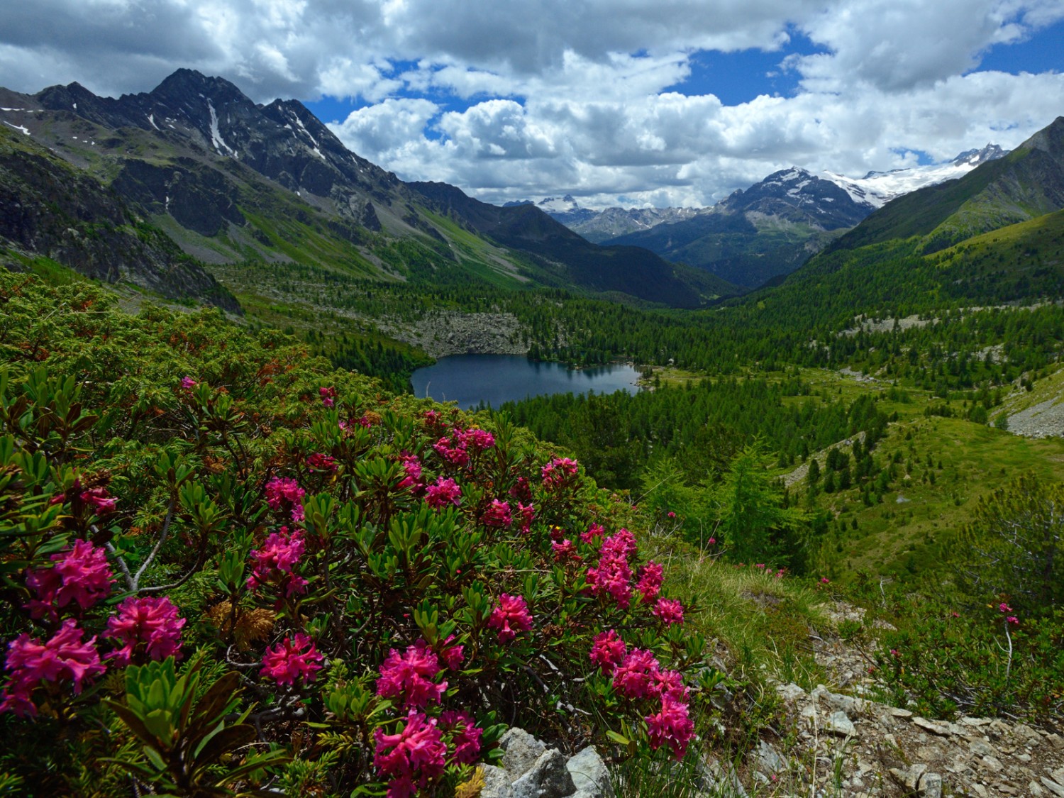 Un tripudio di colori! La vista sul lago di Val Viola è incantevole. Foto: natur-welten.ch