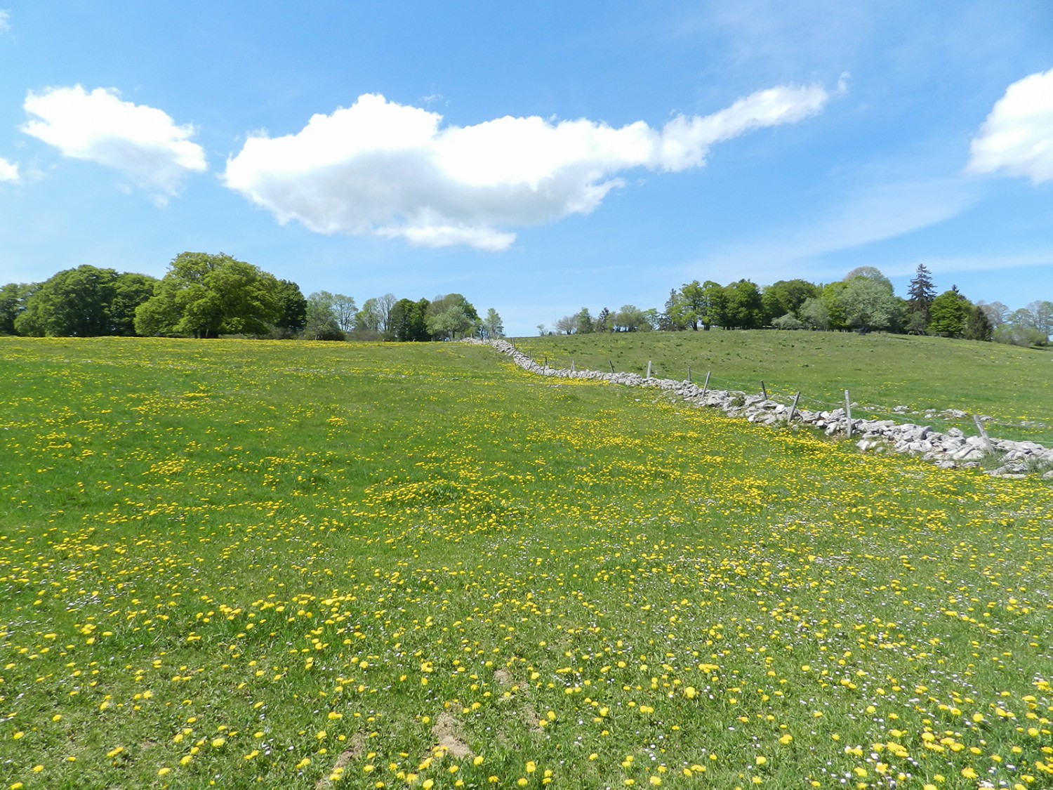 Zwischen La Tourne und La Sagneule erstreckt sich eine typische Neuenburger Landschaft.