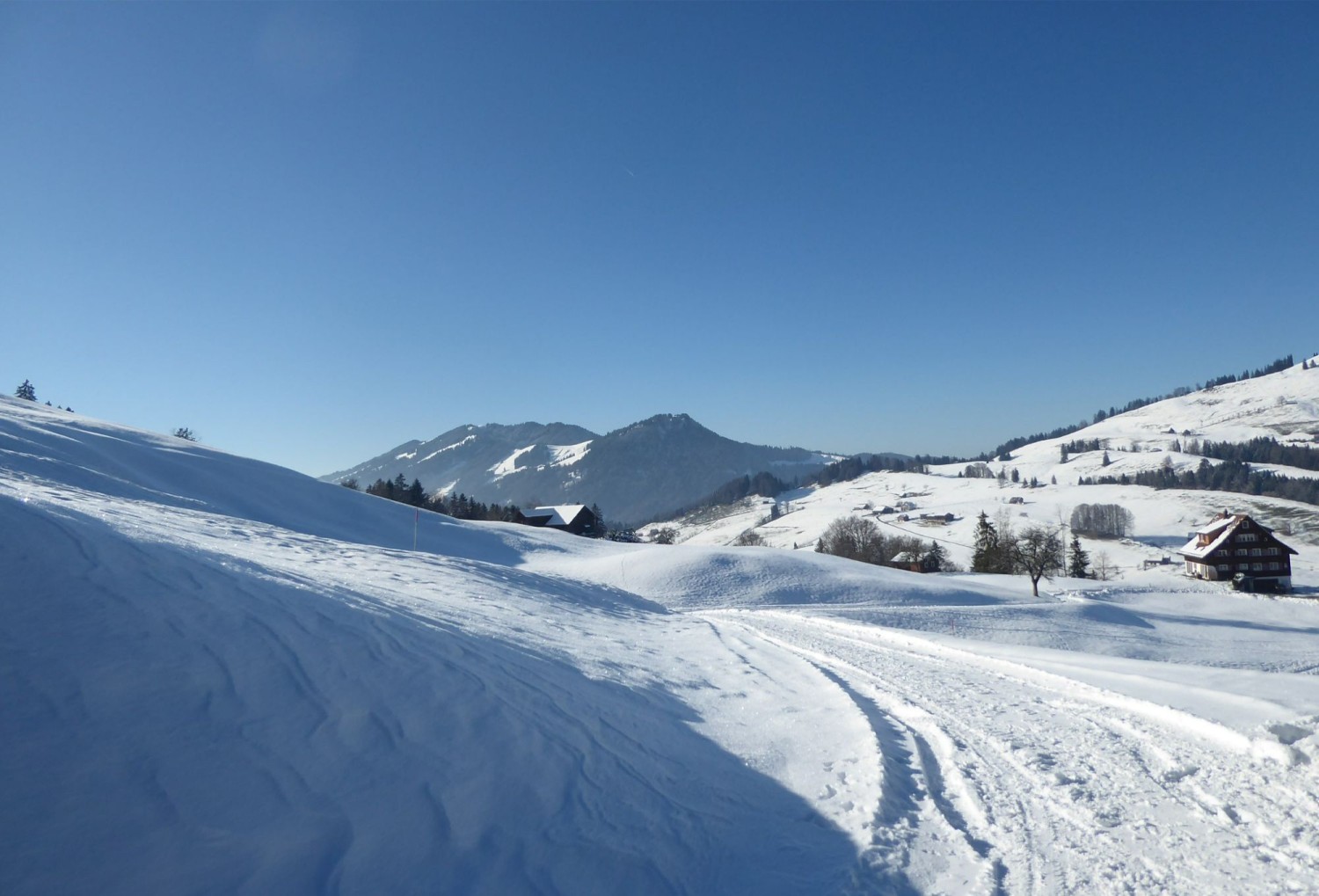 Schneeschuhtour Biberegg - Mostelberg / Blick Richtung Wildspitz