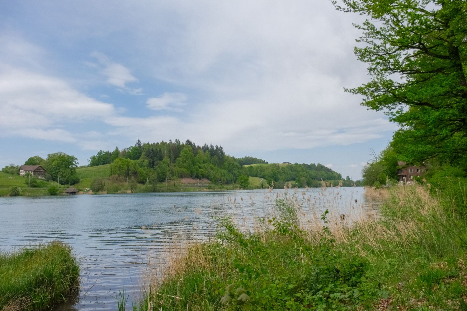 Der Weg führt unmittelbar am Ufer des Rotsees entlang.